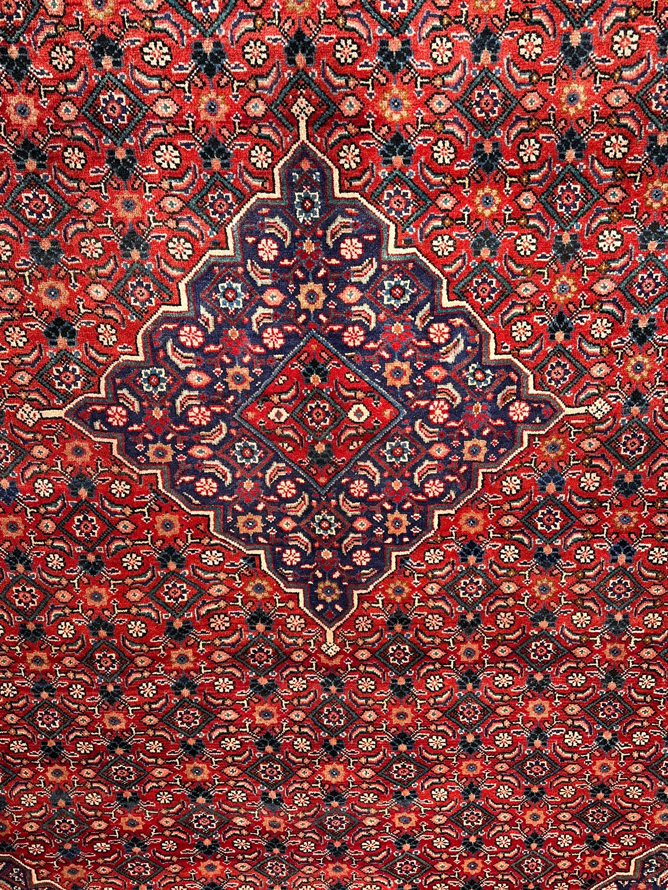 Arak Rug - 410 cm x 312 cm - Image 4