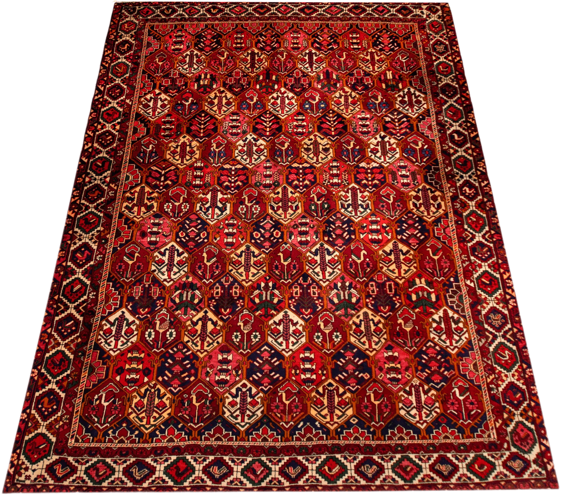 Gabbeh Rug - 300 cm x 205 cm - Image 2