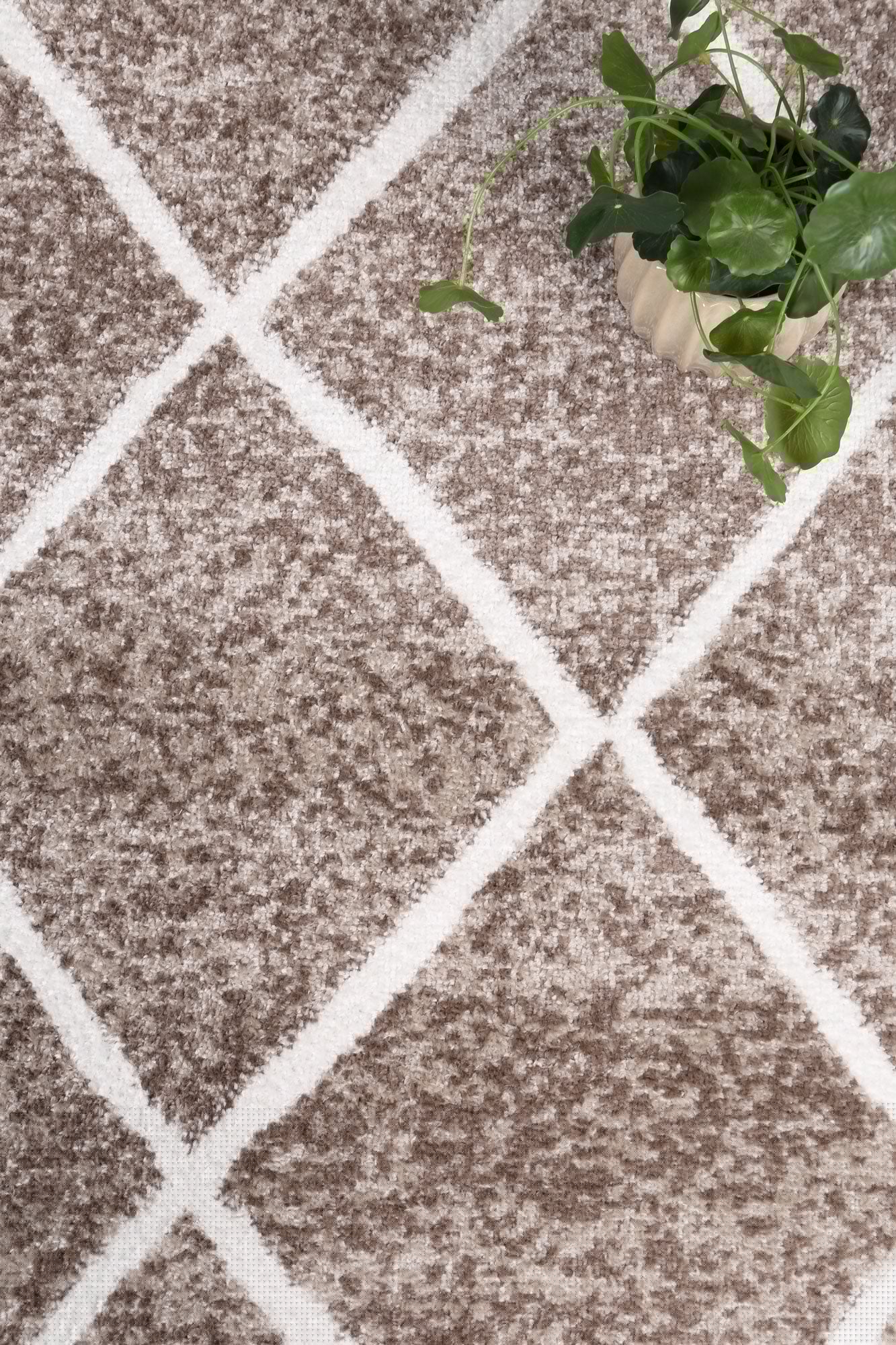 Kimberley 1 Trellis Mocha Rug - Image 6