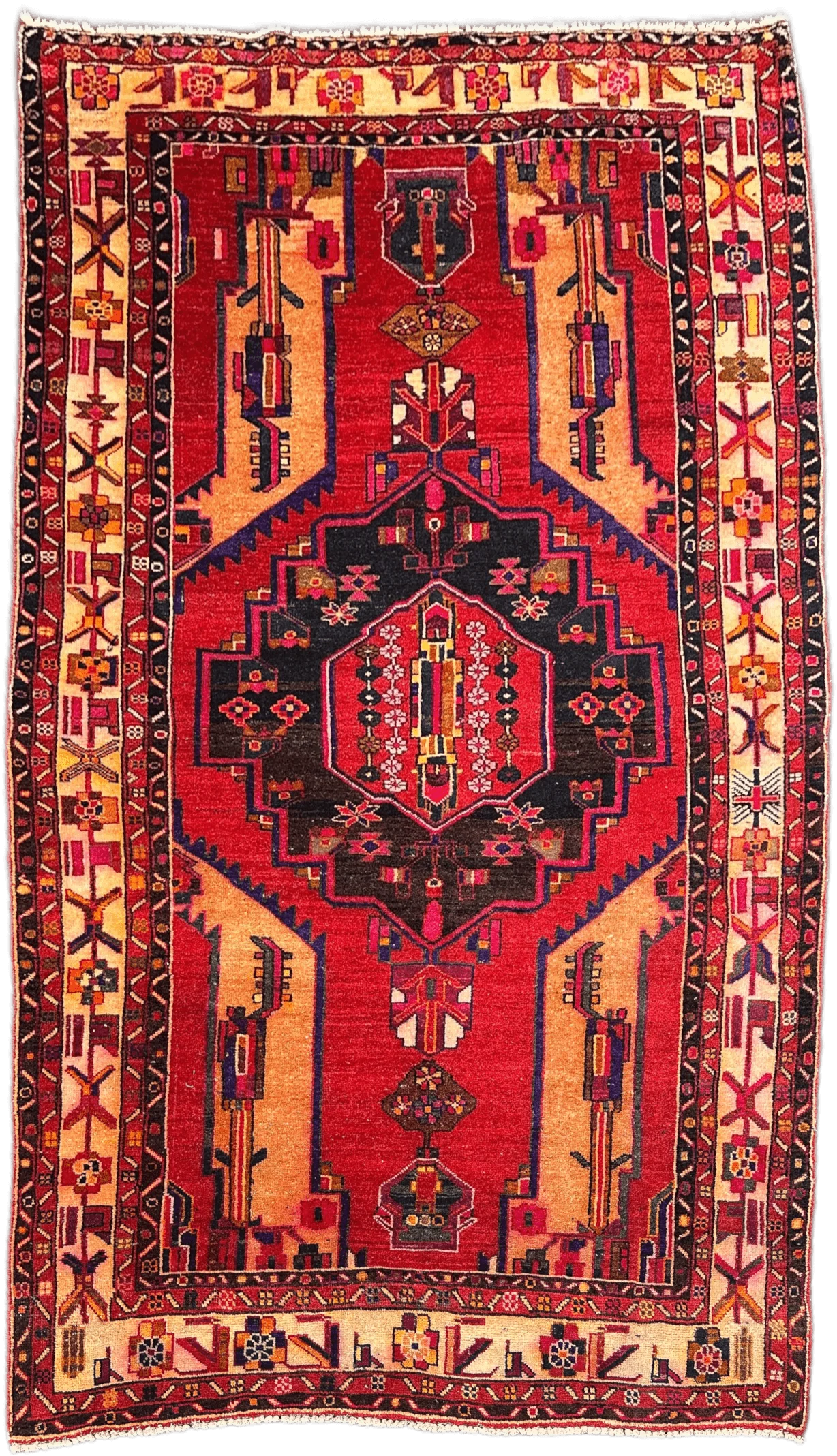 Hamadan Rug - 308 cm x 177 cm